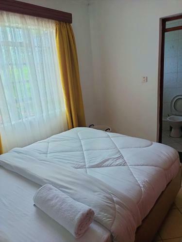 Ecostay Furnished Apartments