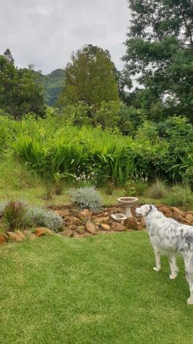 Cottage Imvana Pink (sleeps 6)
