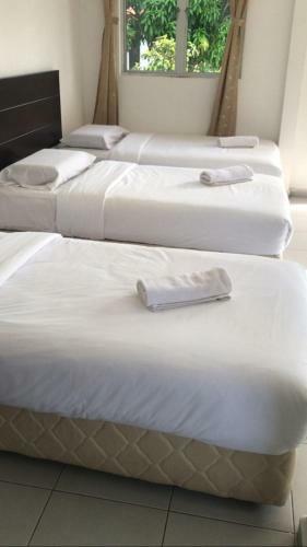 Hotel Senta Adventure Camp & Resort