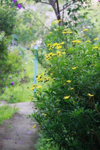 Agroturismo An Khu� Farmhouse