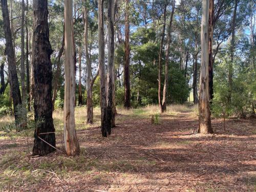 Forrest Holiday Park