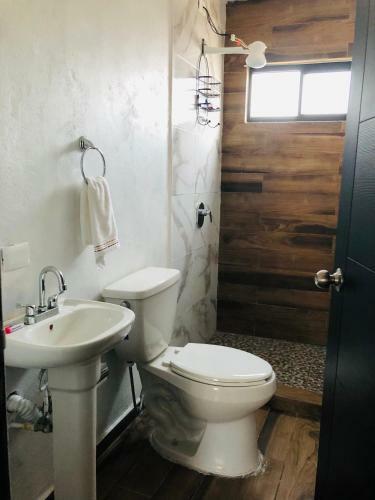 Apartamento Departamento Del Cortes