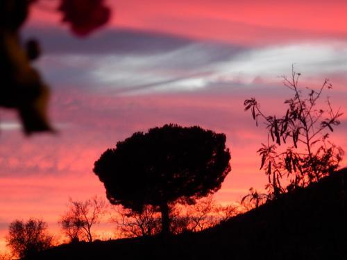 B&B Casa Agradable