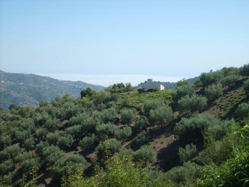 B&B Casa Agradable