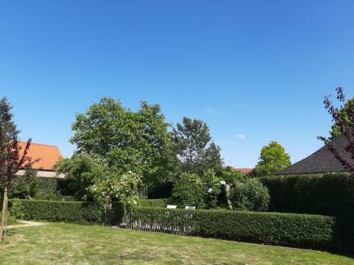 Ruime Woning Met Grote Omheinde Tuin