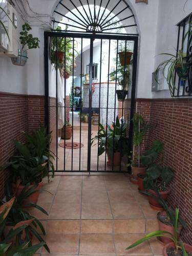 Apartamento La Golondrina
