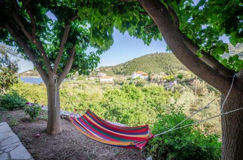 Seaside Apartment In Livadi