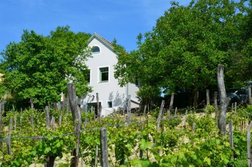 Grand Cru 2. Vend�gh�z