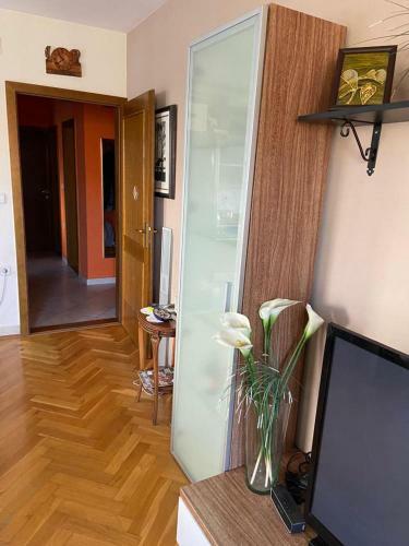 Apartman Marija