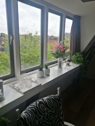 Bed & Breakfast Wittezwaan
