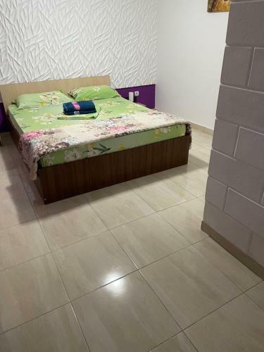 Hostal Vila Vlad