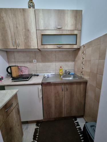 Premium Apartments Paracin