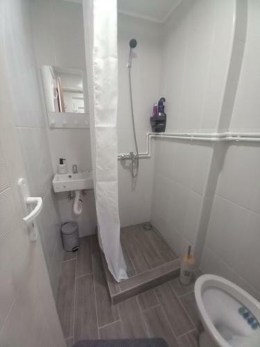Apartment Capital Town Novi Sad