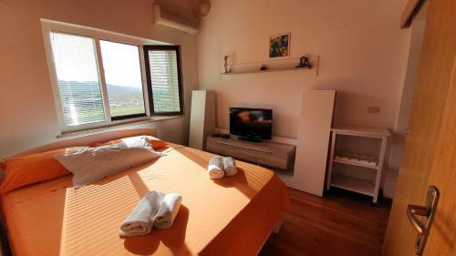 Apartments In The Vineyards