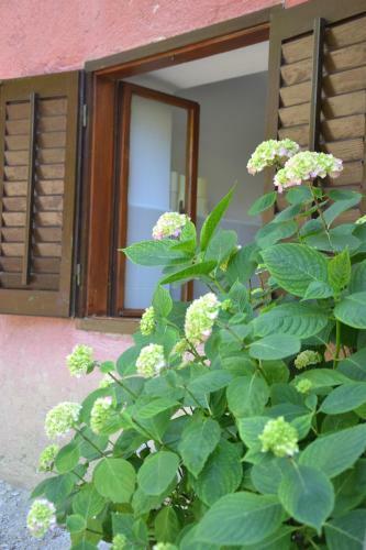 Apartamento Hi?ica Na Morju
