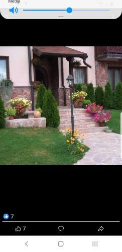 Apartman An?i