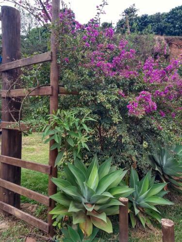 Ch�cara Sal Da Terra Serra Do Capara� Minas Gerais