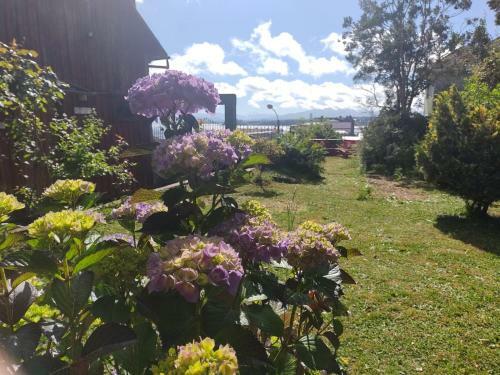 Bed & Breakfast La Casa Florencia