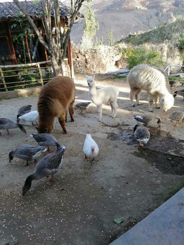 Agroturismo Suites Villa Lucy