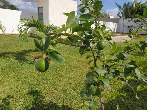 Holiday Home Casa Antonio Merida