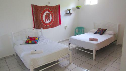 Hostal Guacamole Guesthouse