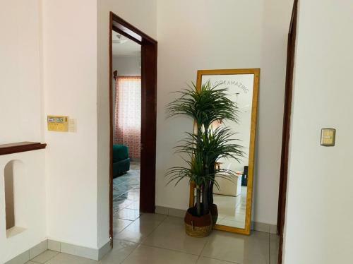 Apartamento Aruma 102 - Departamento Cerca de Playa Bacocho