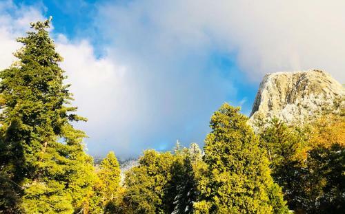 Haven Idyllwild