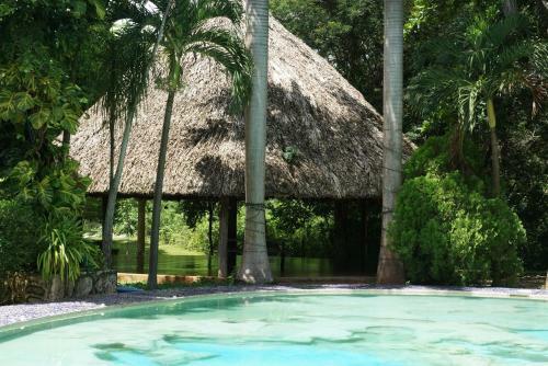 Hotel Dolores Alba Chichen