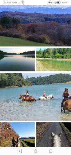 G�te Des �curies De La Paguere