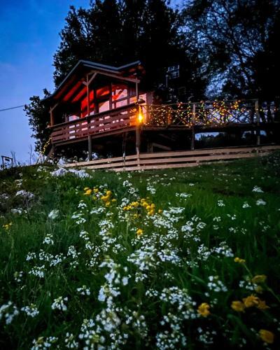 Apartamento Bird's Nest Treehouse