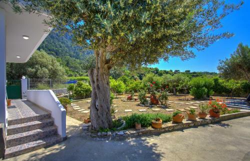 Apartamento Bella Montagna