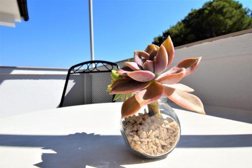 Apartments Frane G