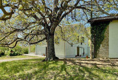 Agroturismo Agriturismo Il Noce D'oro