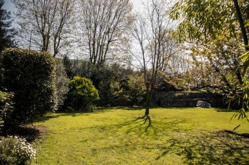 Social Garden