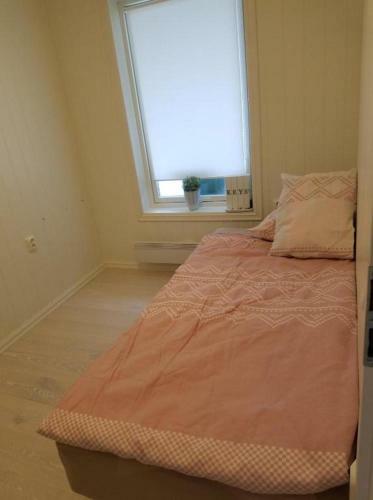 Erika's Apartment
