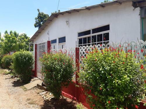 Apartamento Naho's Yard