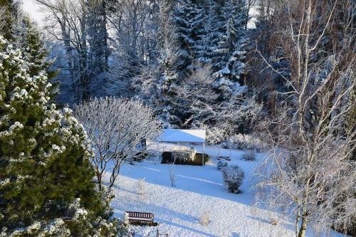 Hostal Pension Irlingerhof