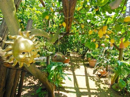 Locazione Turistica Limoneto A Priora