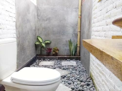Albergue Jungle House - Surf & Stay