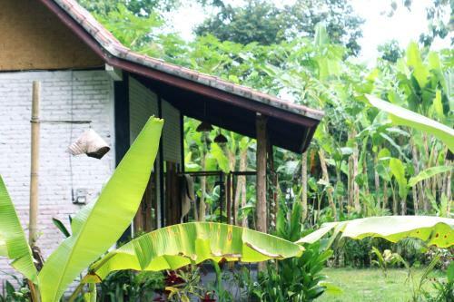 Albergue Jungle House - Surf & Stay