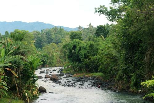 Albergue Jungle House - Surf & Stay