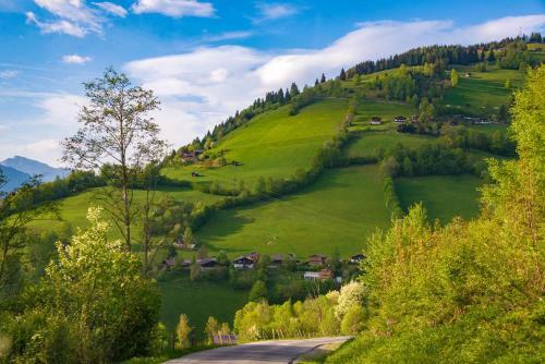 Apartamento Alpine Hostel A3
