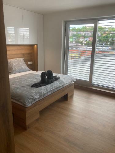 Apartamento Kaskady Suites