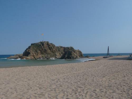 Apartamento Bravaholidays-29-palmeras-2