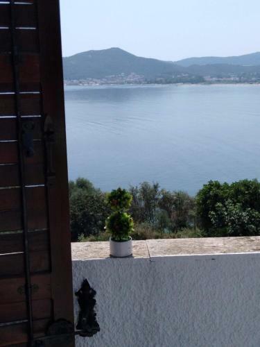 Green Sea Side Villa