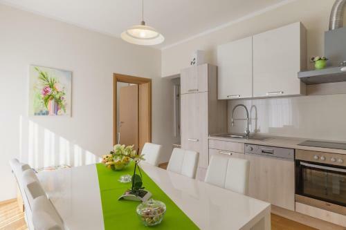 Apartment Snje?ana