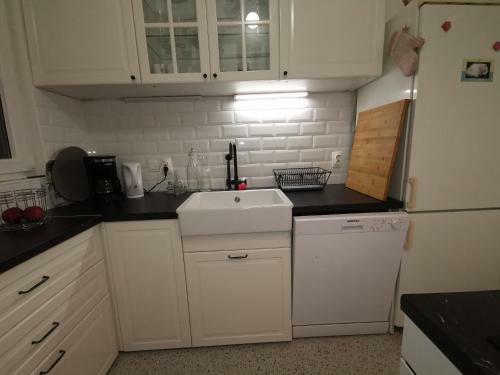 Rijeka Center Apartment Danica
