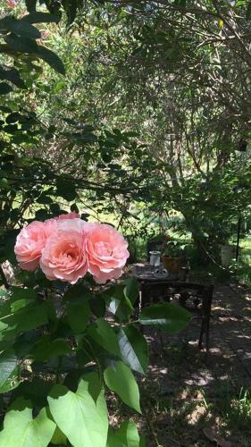 B&B Villa Filomena
