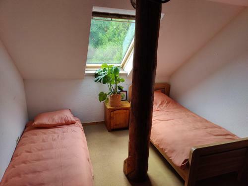 Agroturismo Healing Eden