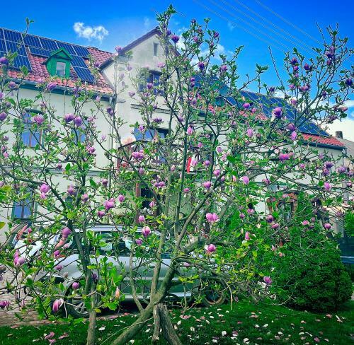 Wrzos�wka Iii. Apartamenty Z Jacuzzi